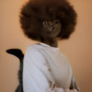 emilynerwinski avatar