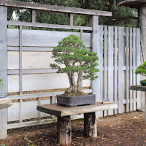 cameroncrosby avatar