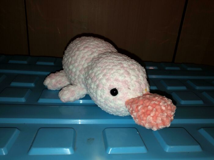 Mom, My Family And My Friends Made Fun The Platypus I Crocheted. No One Wants To Buy It Either. Should I Even Continue With Making These?