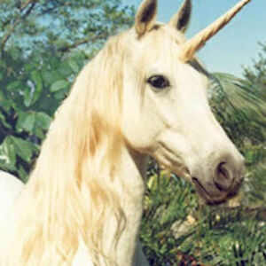 beannavandebukshout avatar