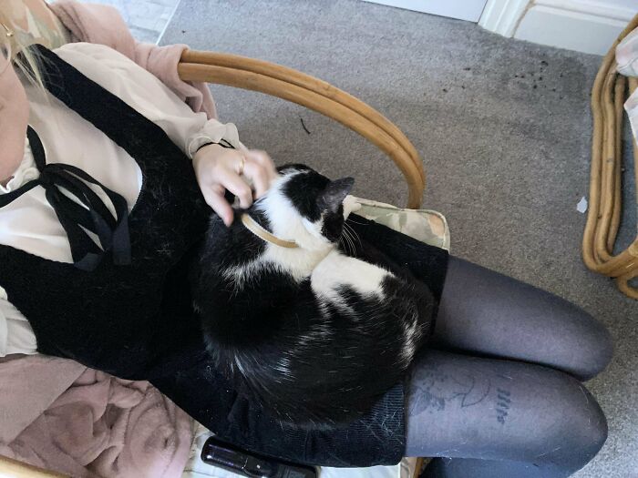 Ben Has Been A Stray For Years, But Came To Live With Us A Few Weeks Ago - This Is The First Time He’s Sat On My Knee