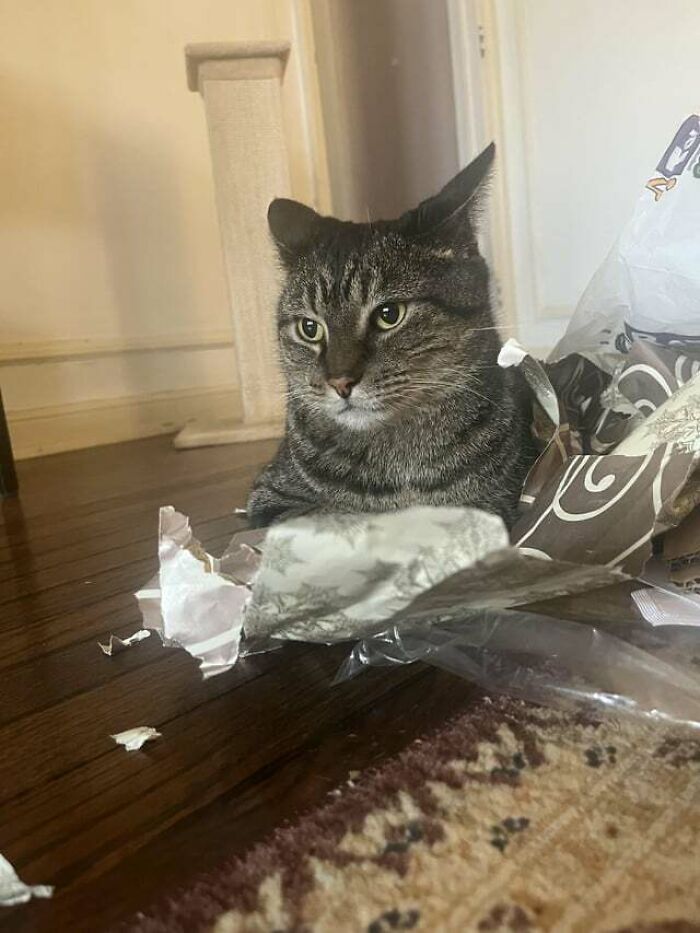 He Got Caught Rummaging Through Packages