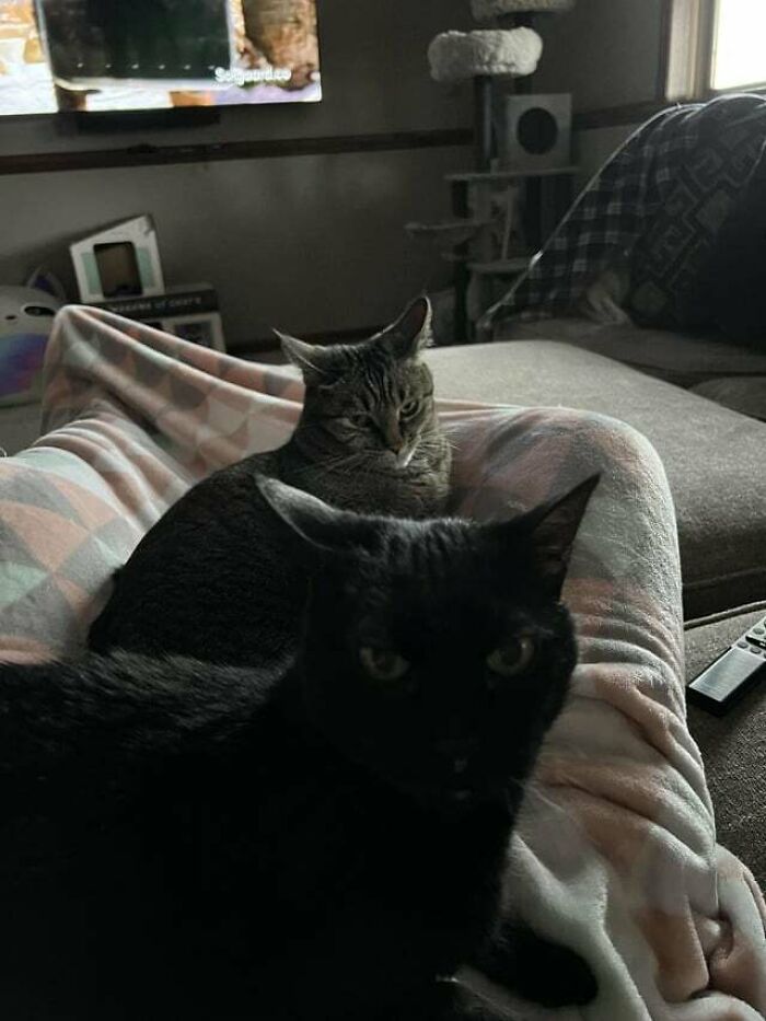 F-16s Formation Flying