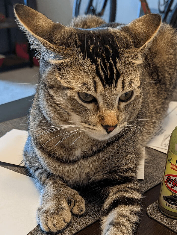 Tito Is Clear For Takeoff