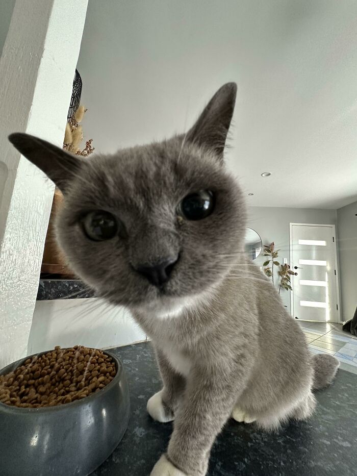 Was Told This Little Lady Was Unfriendly To Visitors… Apparently I Am The Chosen One!