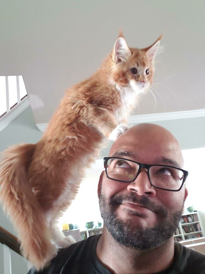 My New Baby Miles Is Not A Fan Of My Dogs