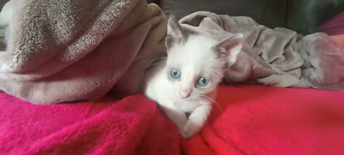 Found Him In The Street