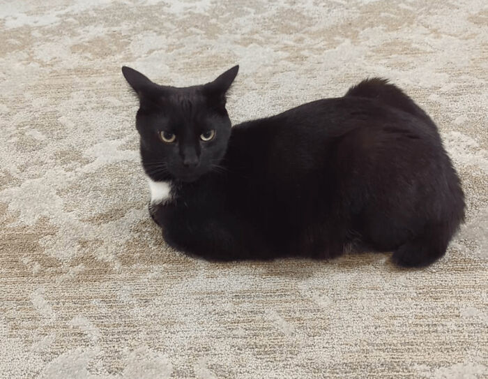 This Loaf Is Ready For Takeoff