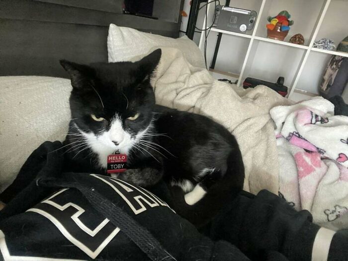 The Airplane Has Landed And Is Ready For Snuggles