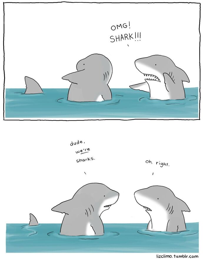 New Cute And Fun Illustrations Showing Strange Situations From The Animal World