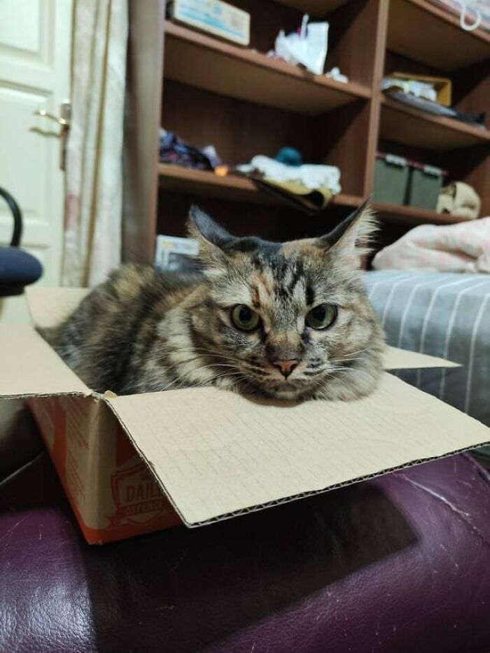 Docked But Ready For Flight