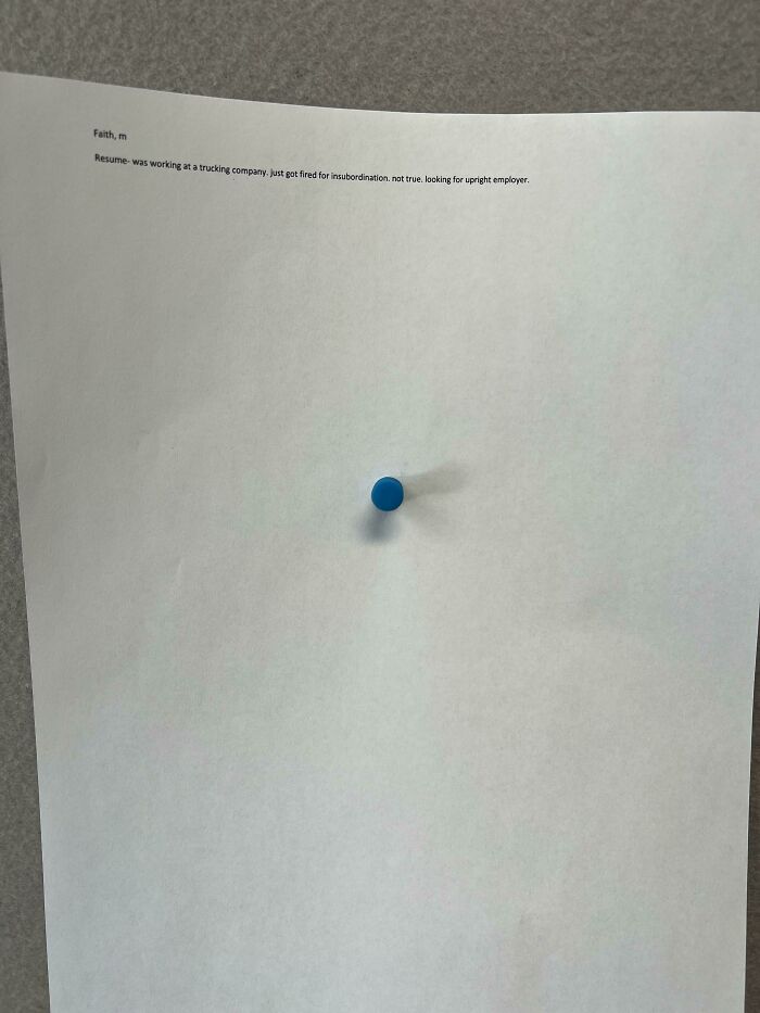 A Resume My Wife Received This Week