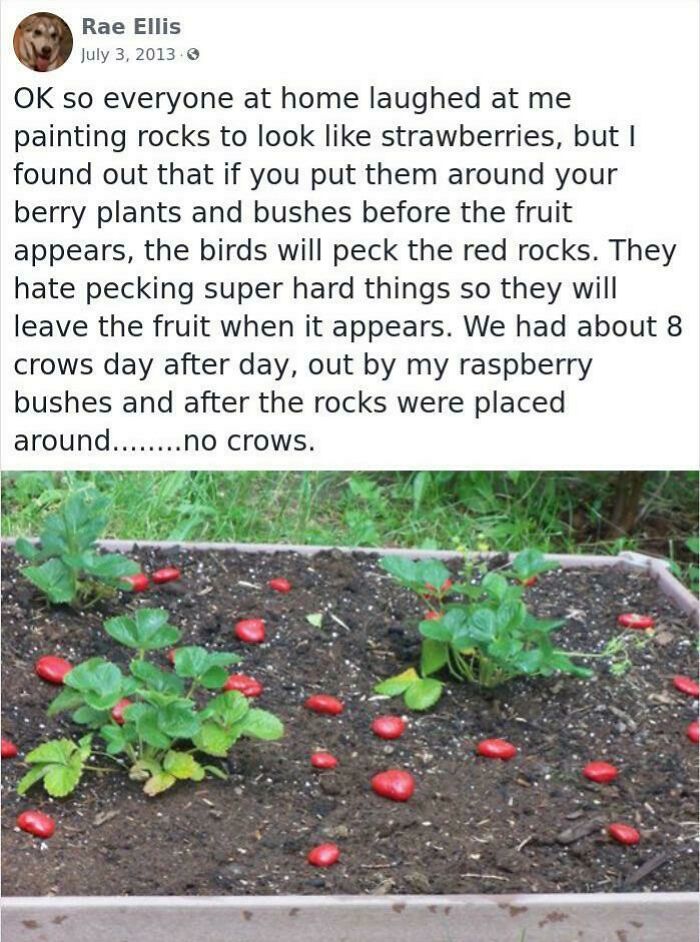 Ain’t Stupid If It Works