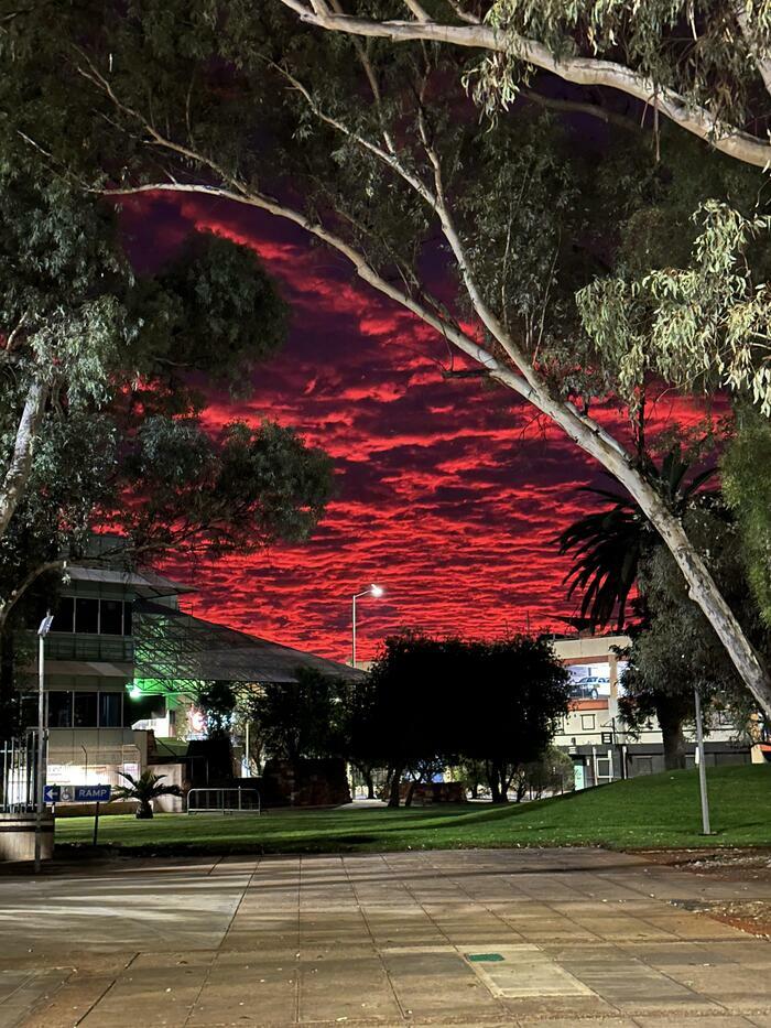 Bloody Australian Dawn