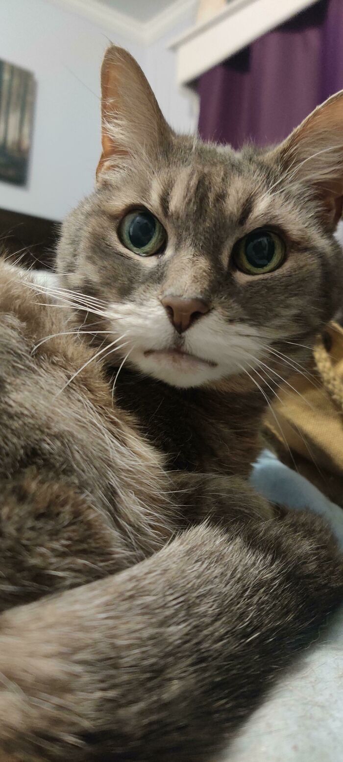 She Was Angry I Woke Her Up