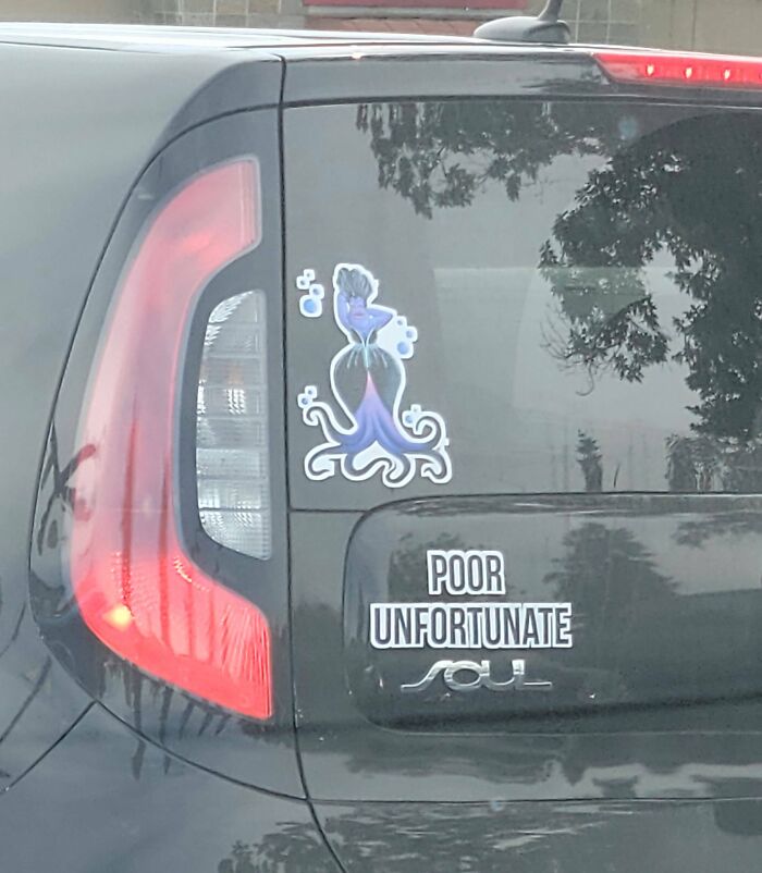 A Punny Bumper Sticker