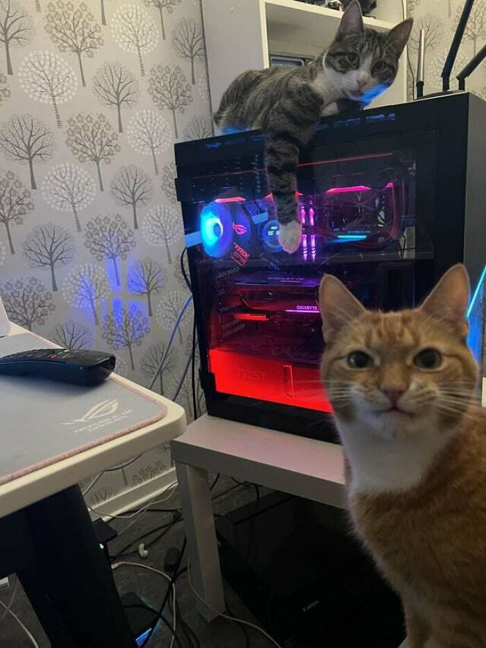 Someone Is Angry Because I Take Photos Of His Sister And Not Him