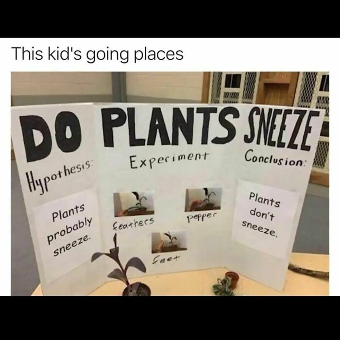 Science meme showing a humorous student project asking if plants sneeze with playful experiment and conclusion.