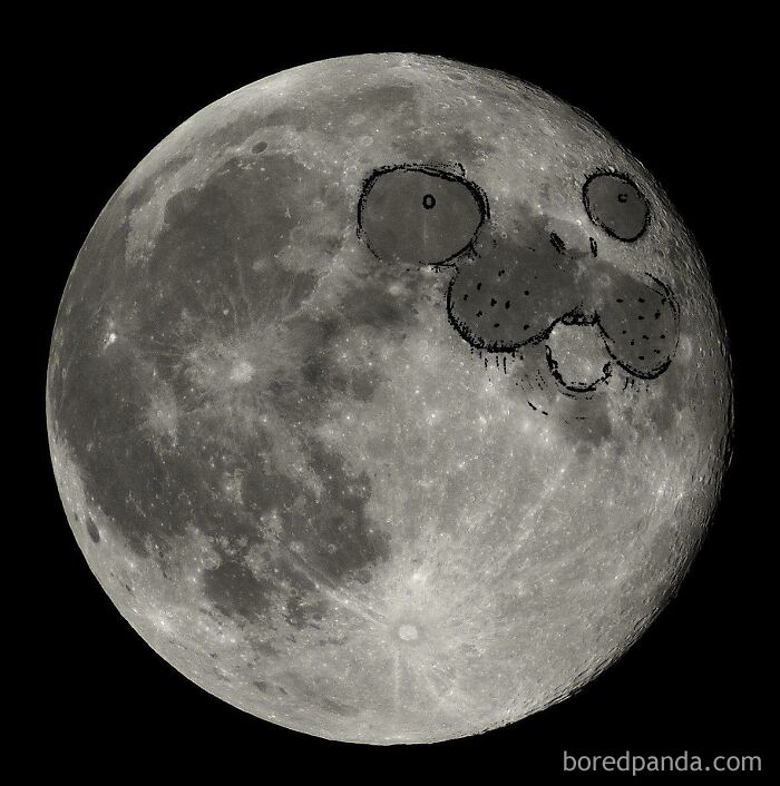 Full moon with a humorous dog face doodle drawn over the lunar surface in a science meme style.