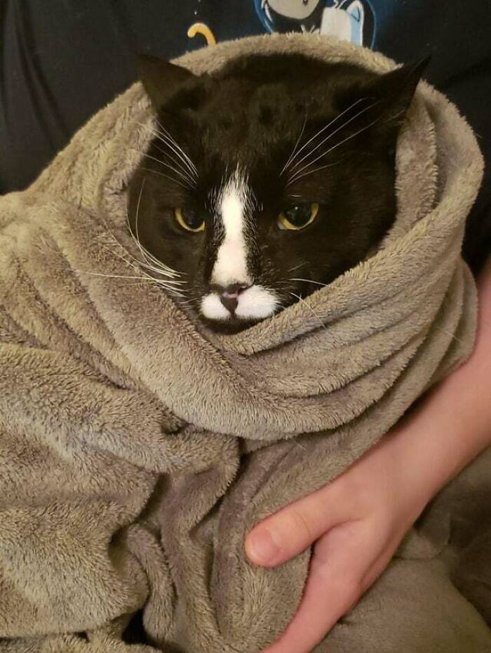 My Name's Richard And I'm Angry That I Can't Bite My Dad 