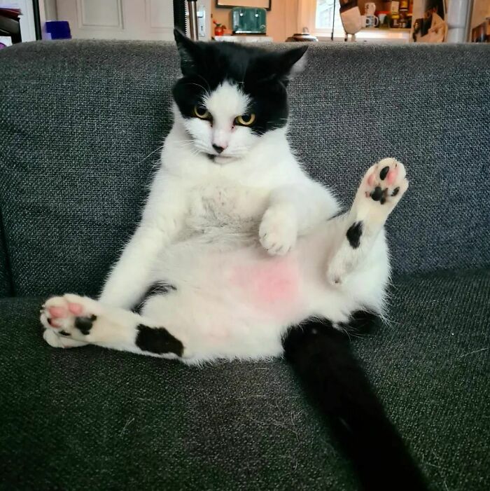 Furious Cos Everyone Is Looking At My Pink Bits