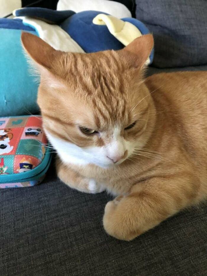 Imminent Landing, I Repeat Imminent Landing