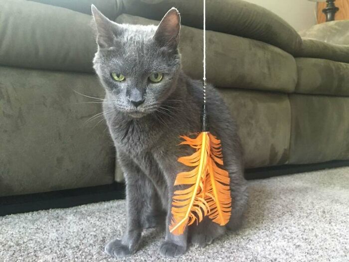 My Parents' Perpetually Angry Looking Old Guy