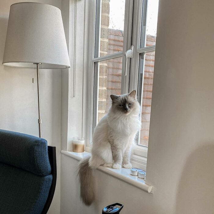 He Wasn’t Happy When I Disturbed His Bird Watching