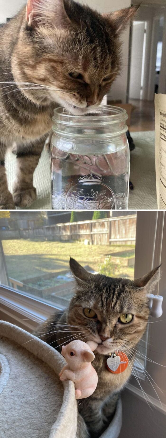 Clementine Has An Attitude Problem