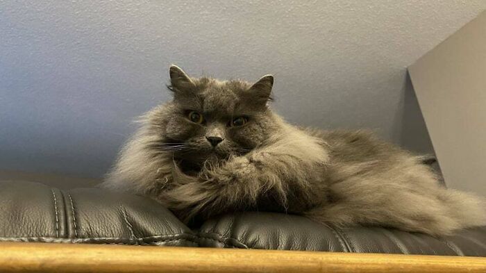 Every Time I Visit My Sister’s I Get To See Her Angry Little Storm Cloud Named Hiccup