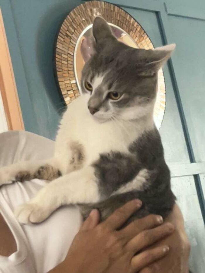 Ladies And Gents, This Flight Packed And Ready For Take Off