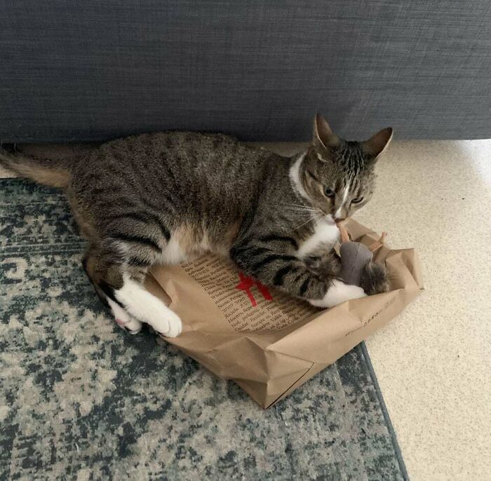 Preparing To Take Flight While Suppressing An Opponent