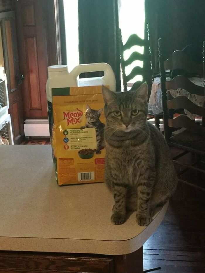 She Looks Like An Angry Version Of The One On The Bag