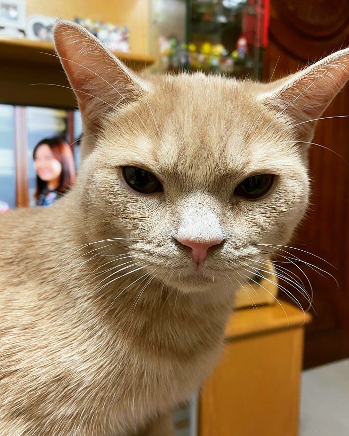 Don't Offend Me. Don't Offend My Sister. Don't Offend My Mom. Consequences At Your Own Risk