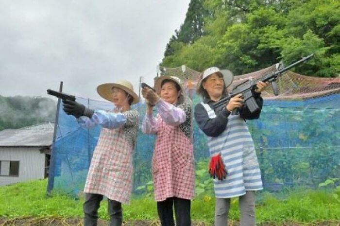 Dato curioso: Un pueblo rural japonés asediado por monos es defendido por tres ancianas armadas con pistolas de aire comprimido que se hacen llamar las "Cazadoras de Monos"