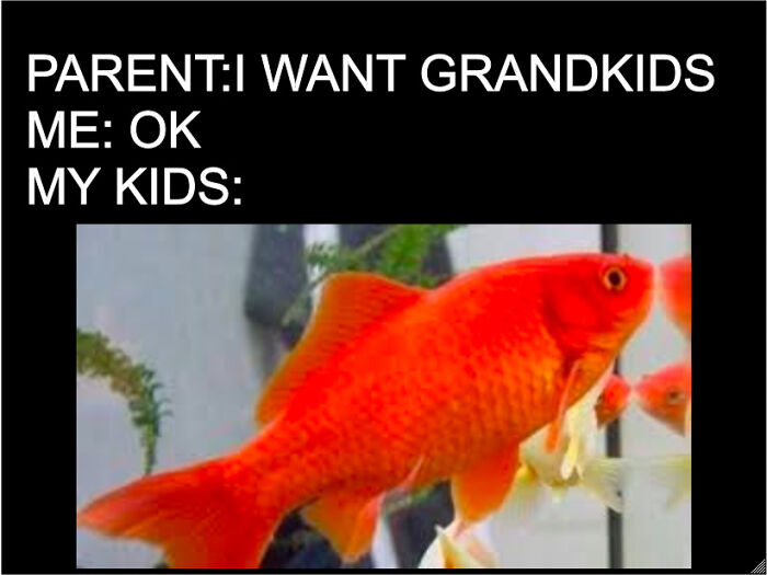 Mom Is Going To Be A Little Dissapointed