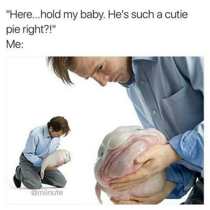 And Then You Proceed To Fling It Out The Window