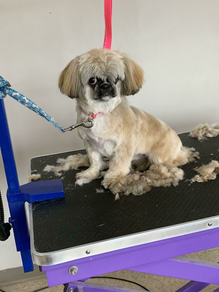 It’s Not A Phase, Mom