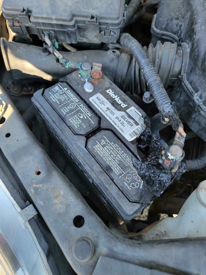 No debería haber venido hoy