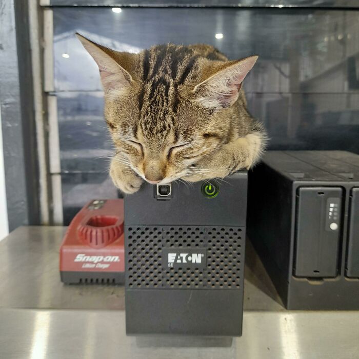 La batería de repuesto es cómoda y calentita