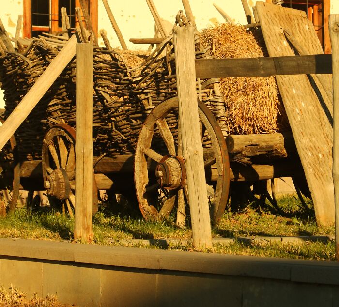 Wooden Carriage Standing Outside 