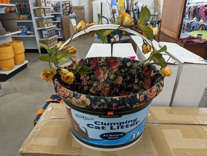 At Least Cover Up That It Used To Be Cat Litter