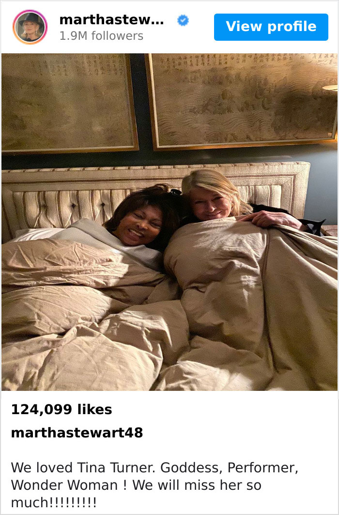 Tina-Turner-Tributes