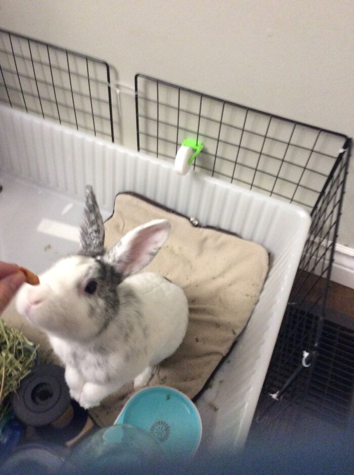 My Baby Boy When He Was 1 Years Old (His Name Is Naughty)