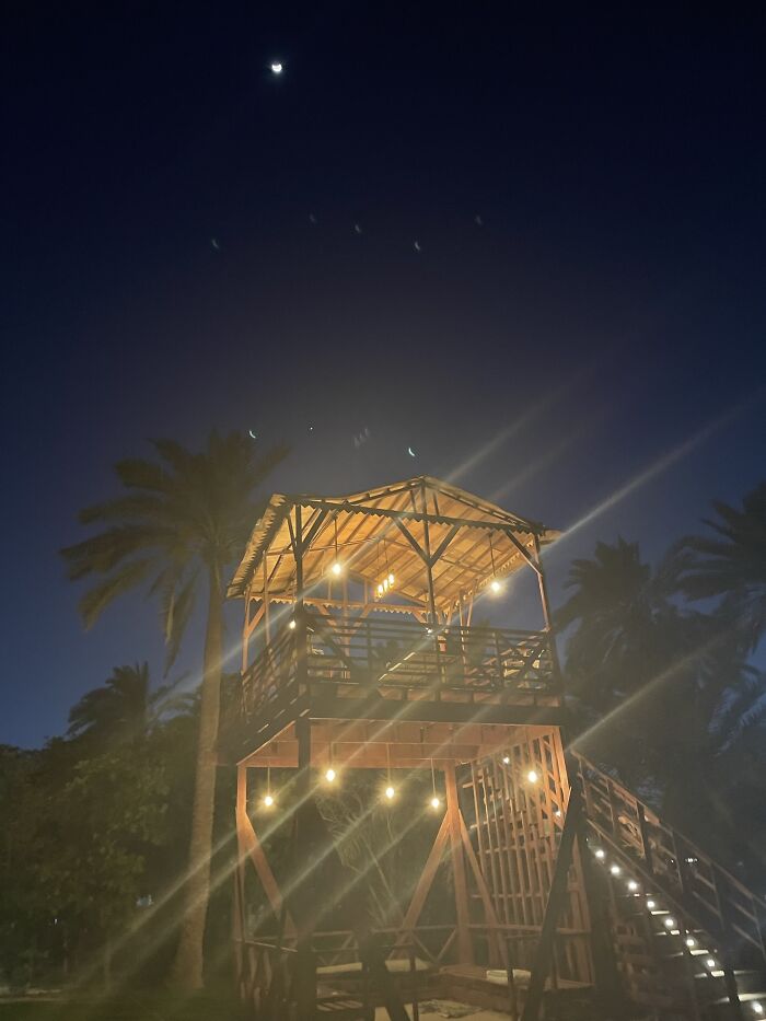 My Grandma’s Tree House. I Love Going There Around Golden Hour And Watching The Sunset While I Write Or Draw. Usually I Bring My Cat With Me!