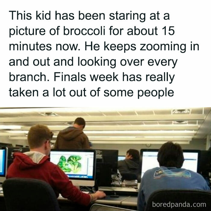 University student staring at a computer screen showing broccoli, humorously depicting finals stress.