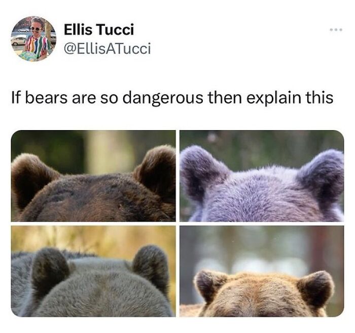 Wholesome-Memes-Hurtingsouls