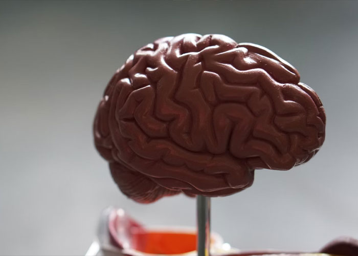 35 Annoying Myths And Conspiracies That People Really Need To Stop Believing