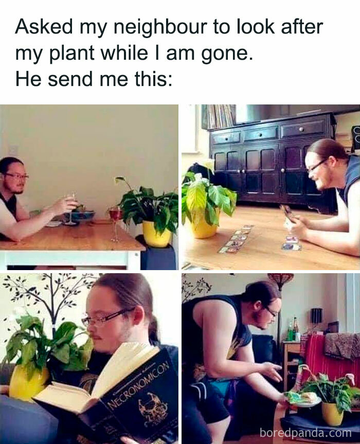 Photosynthesis Mode: Full On