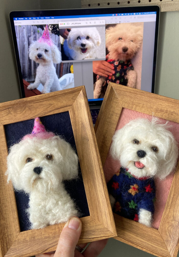 Artist Warms The Hearts Of Tutors With Felt Dolls Of Their Pets